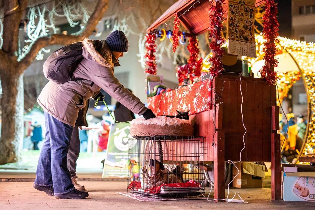 Starogradska Zima (12).jpg