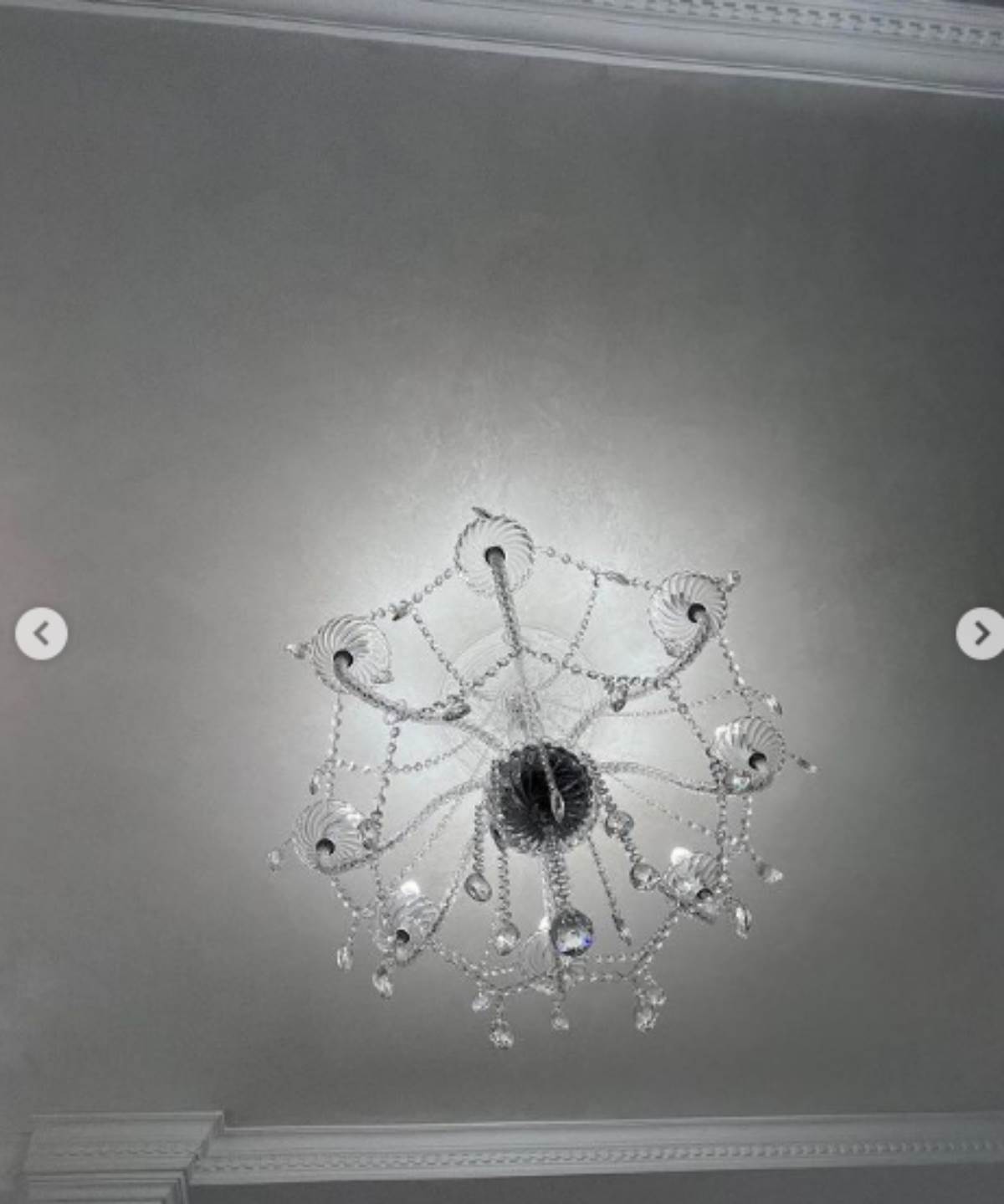 Stanija Dobrojević, stan