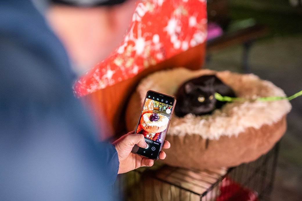 Foto konkursu s temom “Starogradska zima iz Mondo ugla”