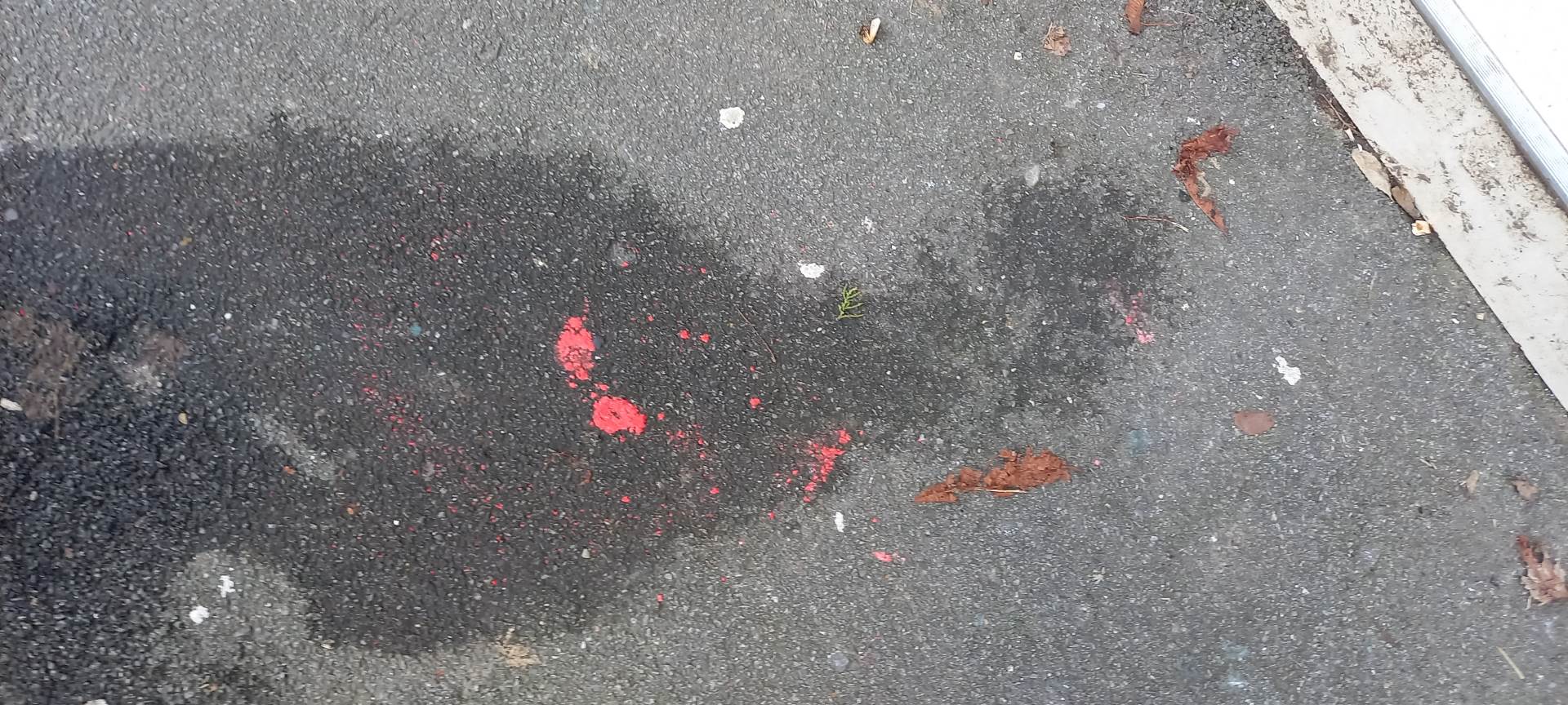 otrov ispred zgrade.jpg