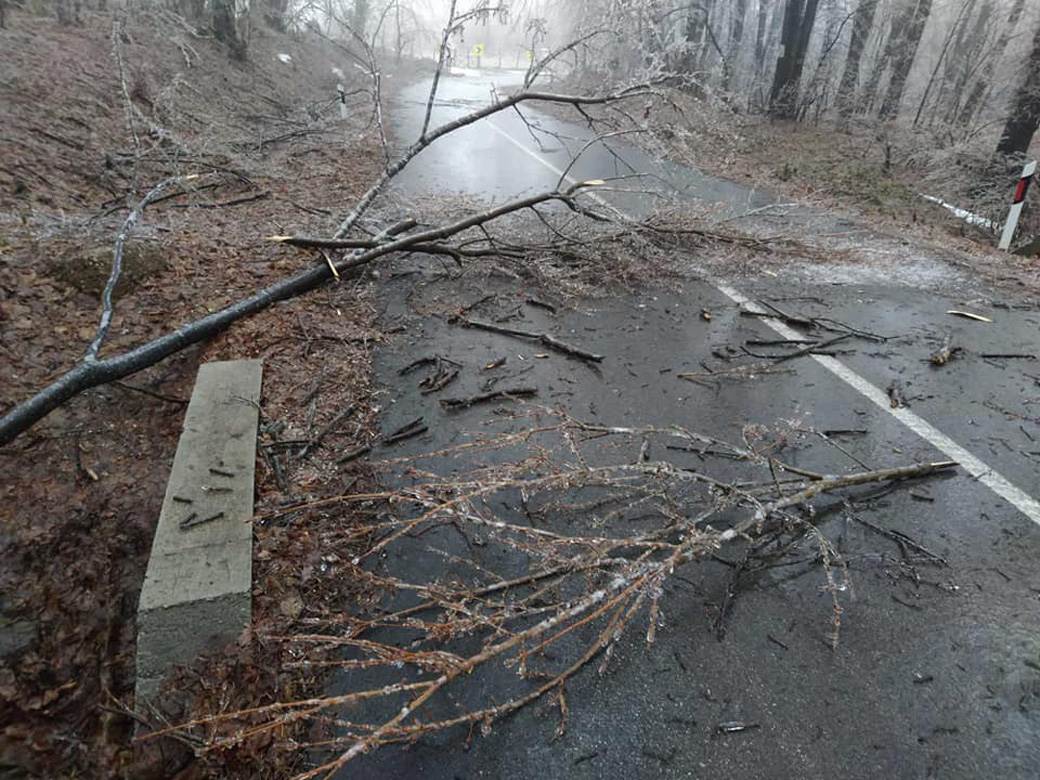 Fruška gora (3).jpg