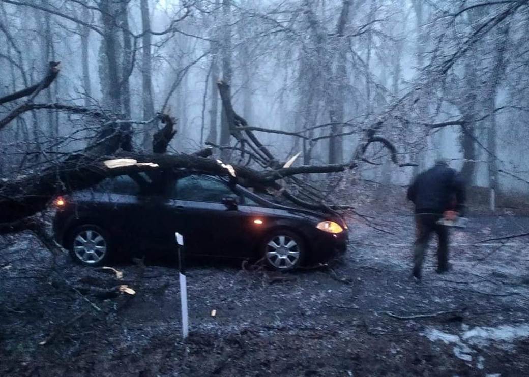 Fruška gora (4).jpg