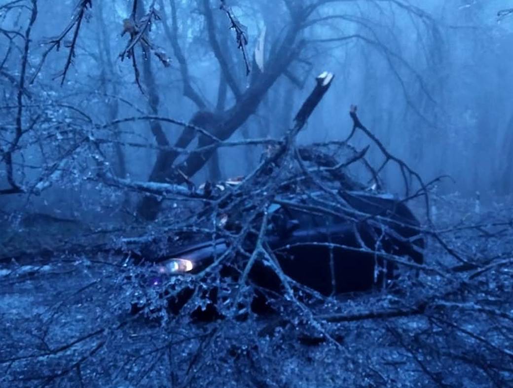 Fruška gora (5).jpg