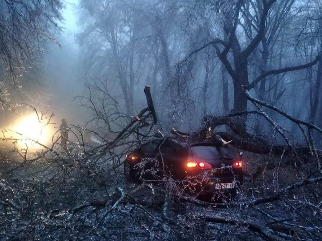 Fruška gora (6).jpg