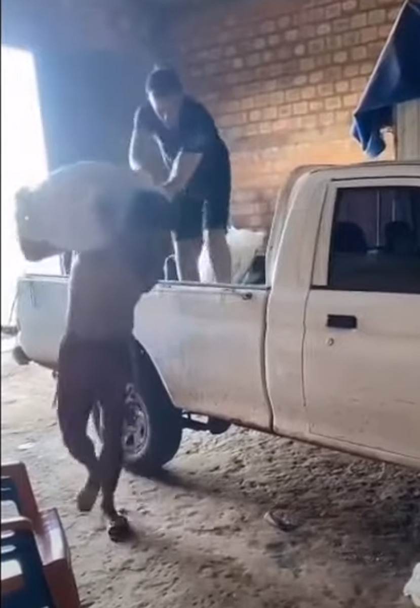 Robert Rohas (3).jpg