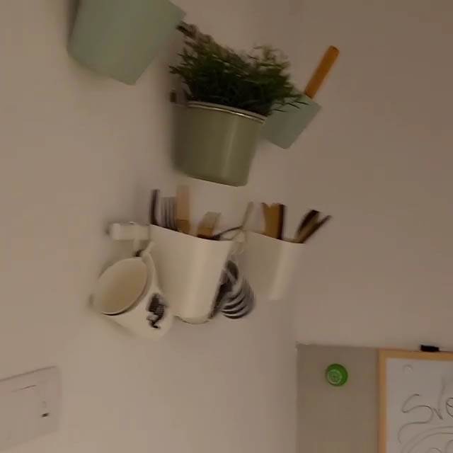 Kristijan Kiki Golubović kuća 4.jpg