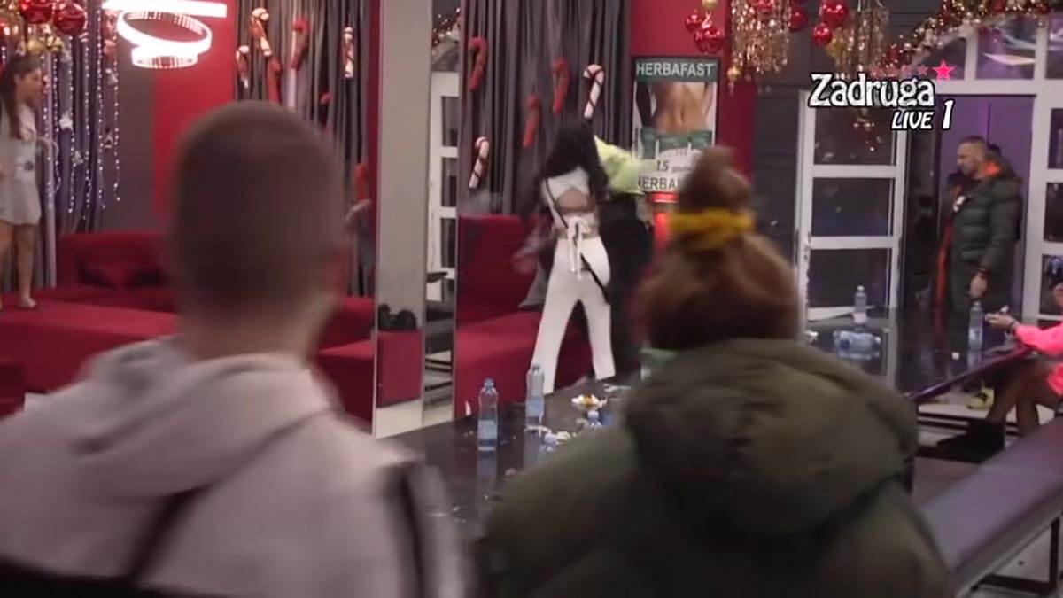 Zadruga, Tuča, Mensur, Krle (9).jpg