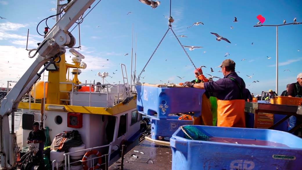 Fabio Koentaro (8).jpg