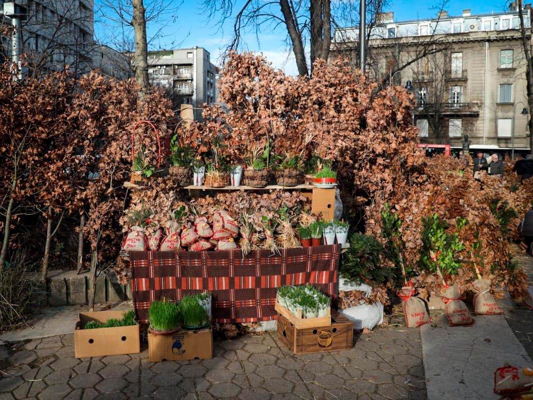 Prodaja badnjaka na Kalenić pijaci