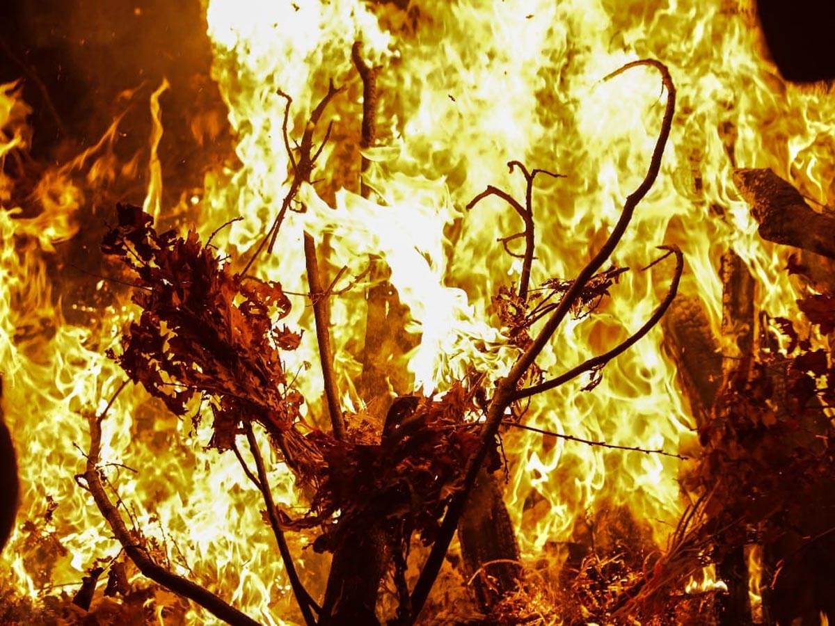 Badnjak, Paljenje Badnjaka, Hram (12).jpg