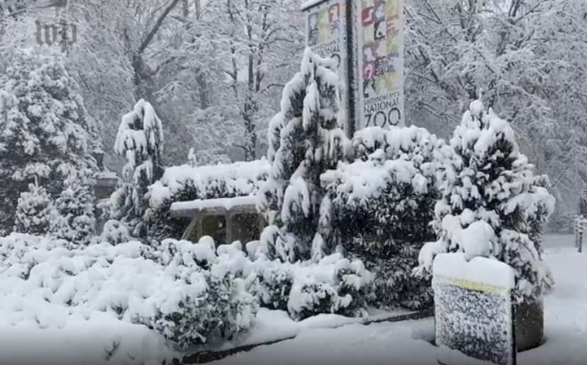 Sneg, Nju Jork, New York, snežna oluja (3).jpg