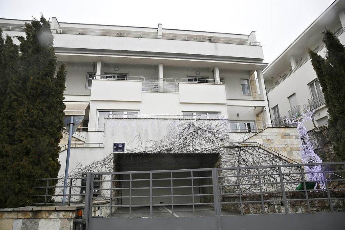 jelena karleuša  (2).jpg