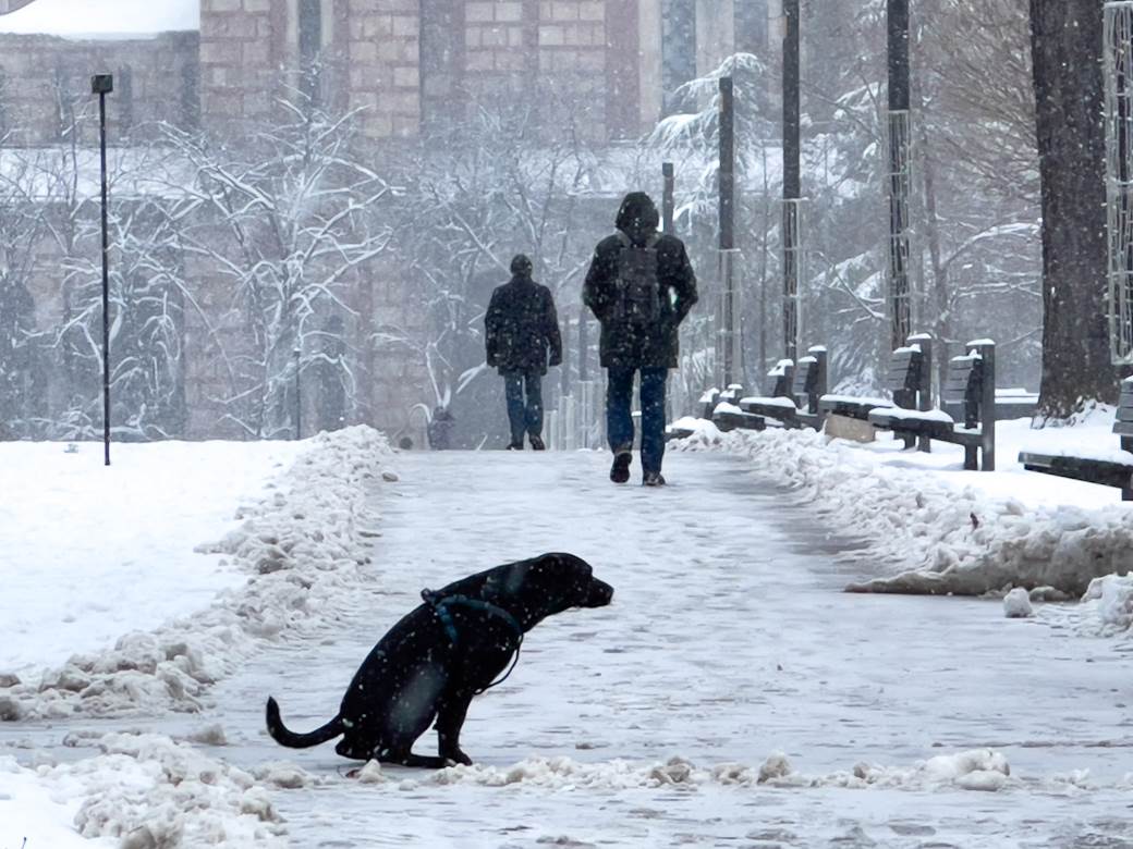 Ledeni dani ove nedelje u Srbiji