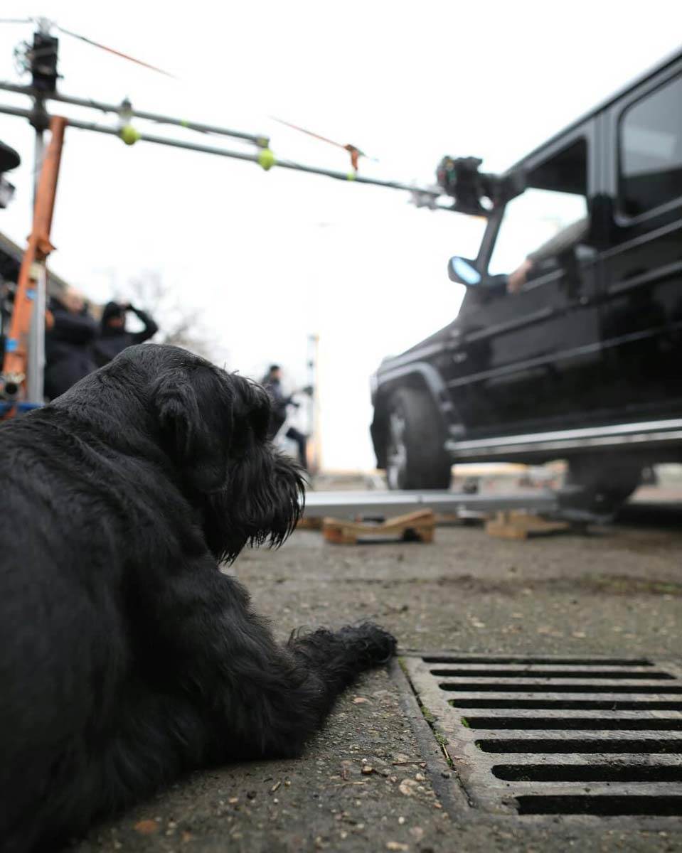 Petar Strugar pas Beta (2).jpg