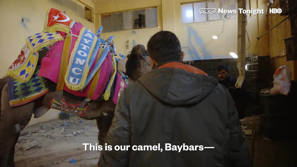 Rvanje Kamila (1).jpg