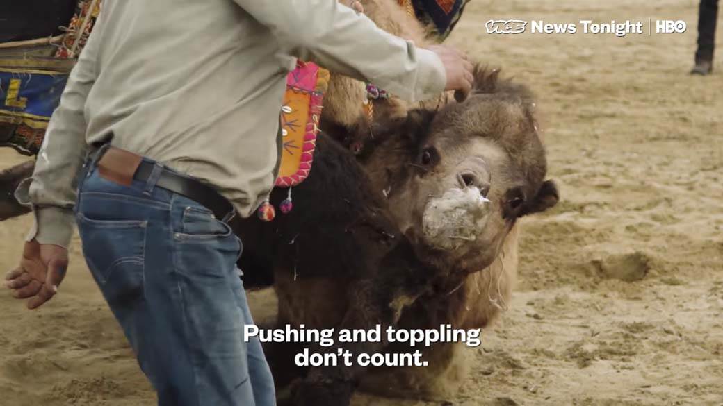 Rvanje Kamila (5).jpg