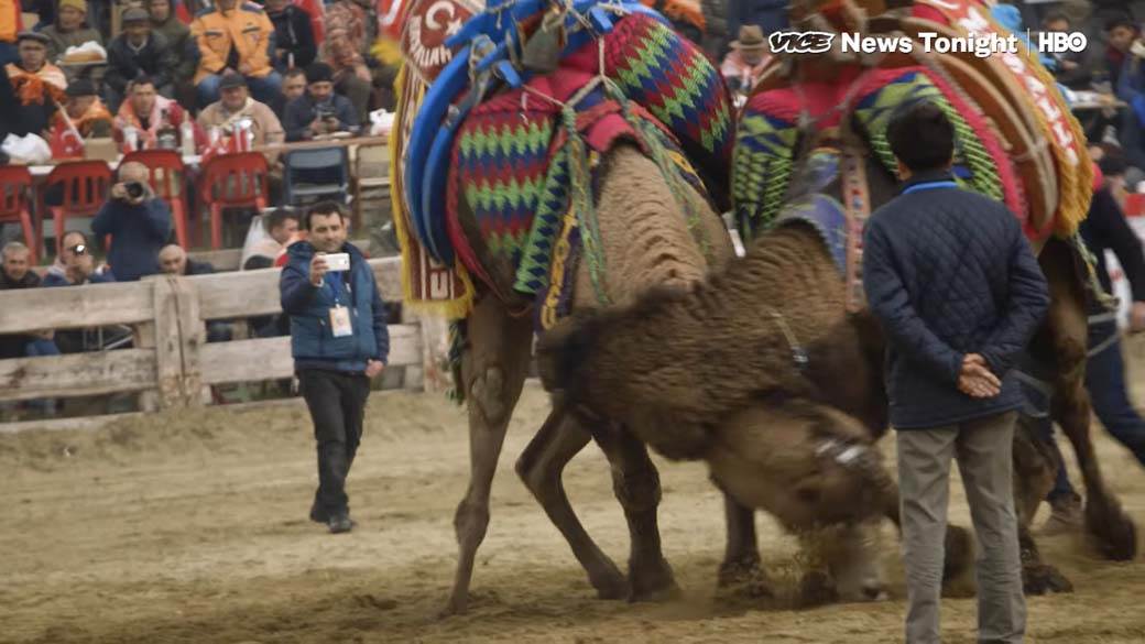 Rvanje Kamila (6).jpg