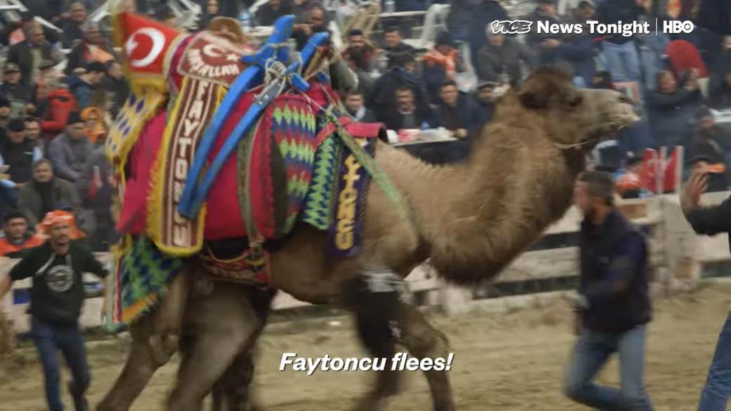 Rvanje Kamila (8).jpg