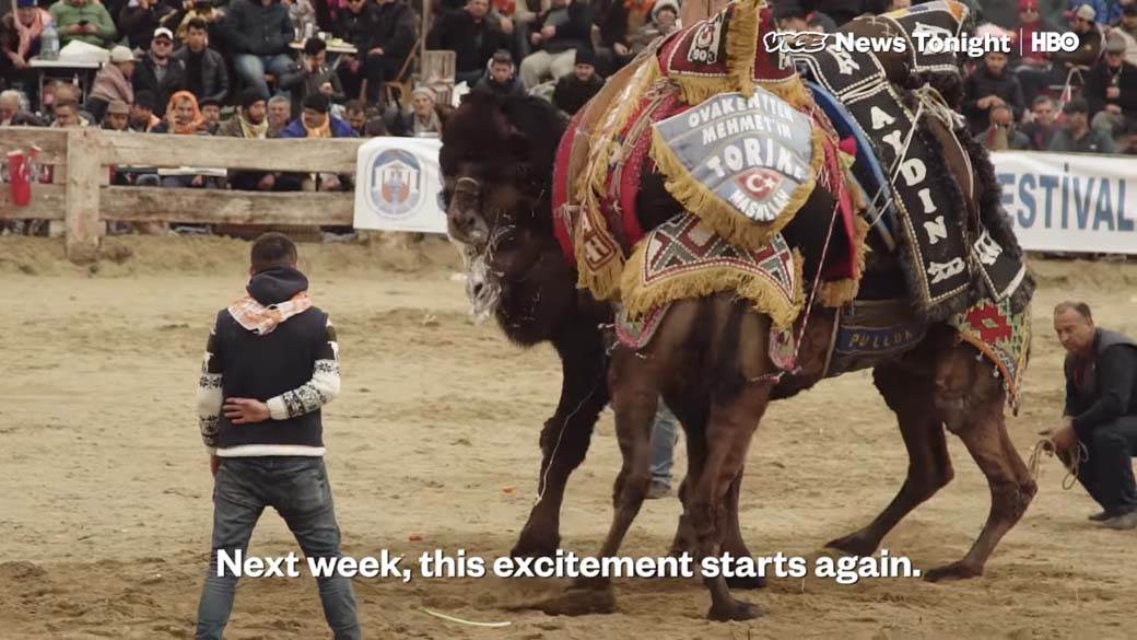 Rvanje Kamila (9).jpg