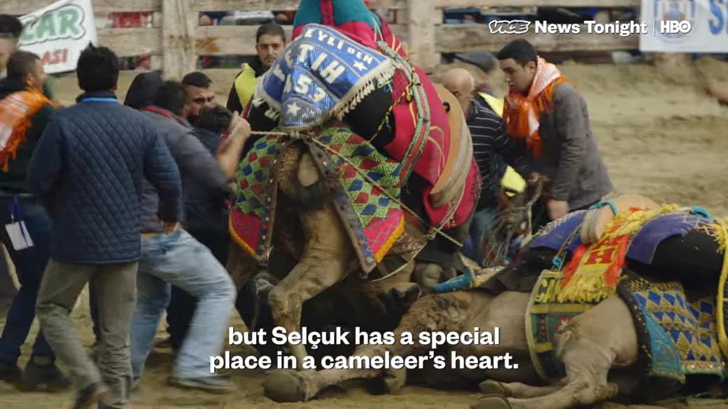 Rvanje Kamila (10).jpg