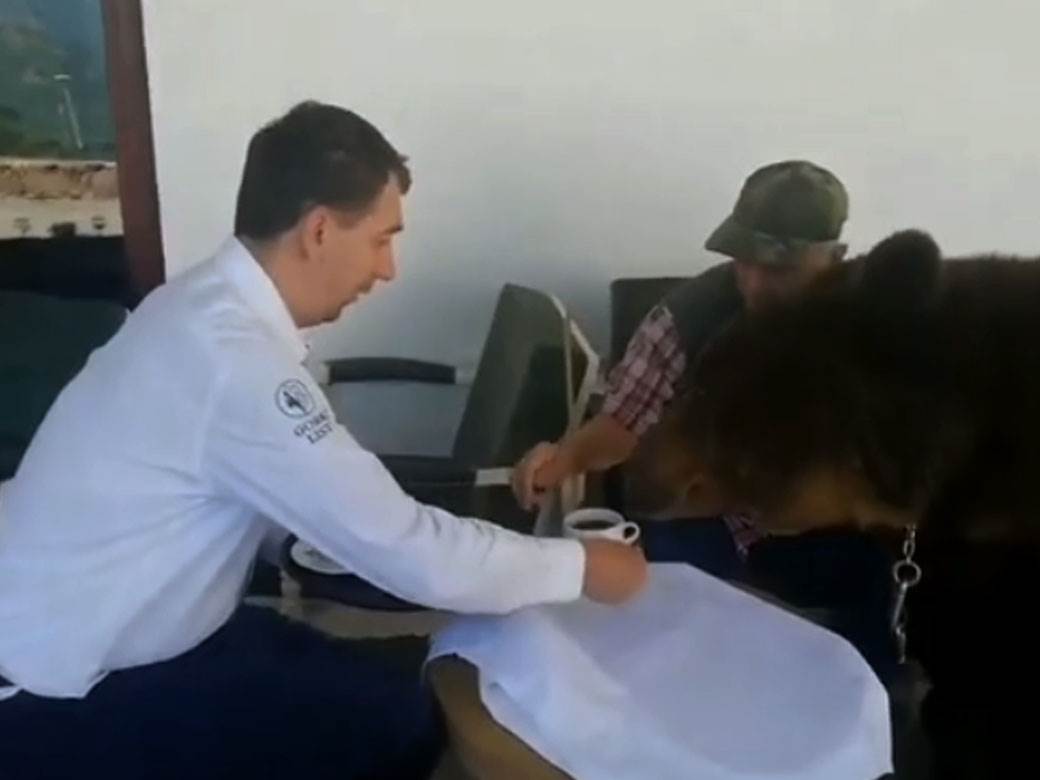 Medved pije toplu čokoladu (5).jpg