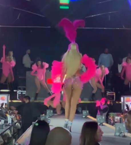 jelena karleuša4.png