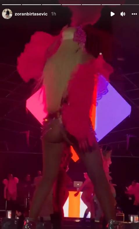 jelena karleuša6.png