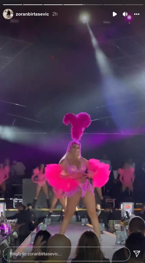 jelena karleuša1.png