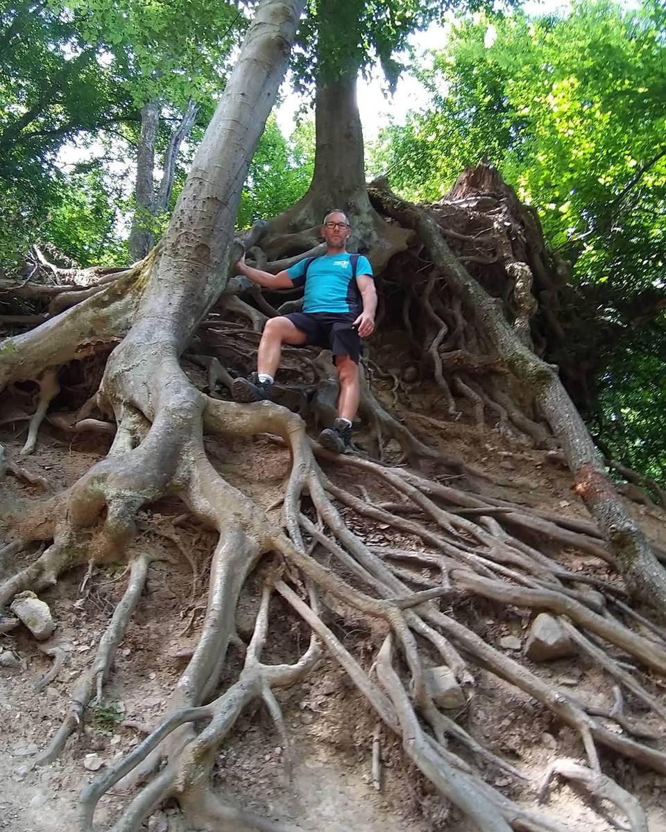 csollany szilveszter (3).jpg