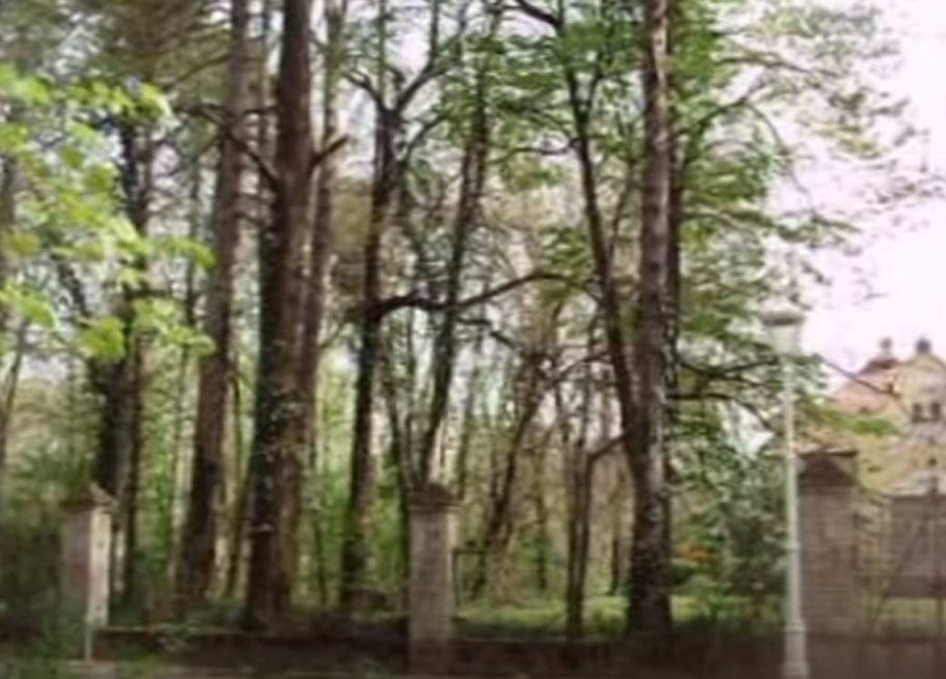 Konenova vila (4).jpg