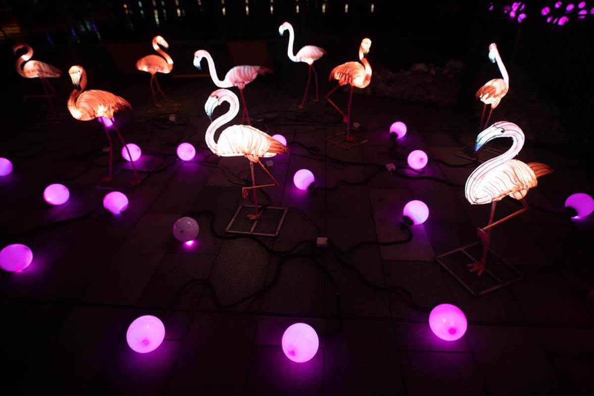 Festival Proleća 2022, Beograd, Kineska nova godina (14).jpg