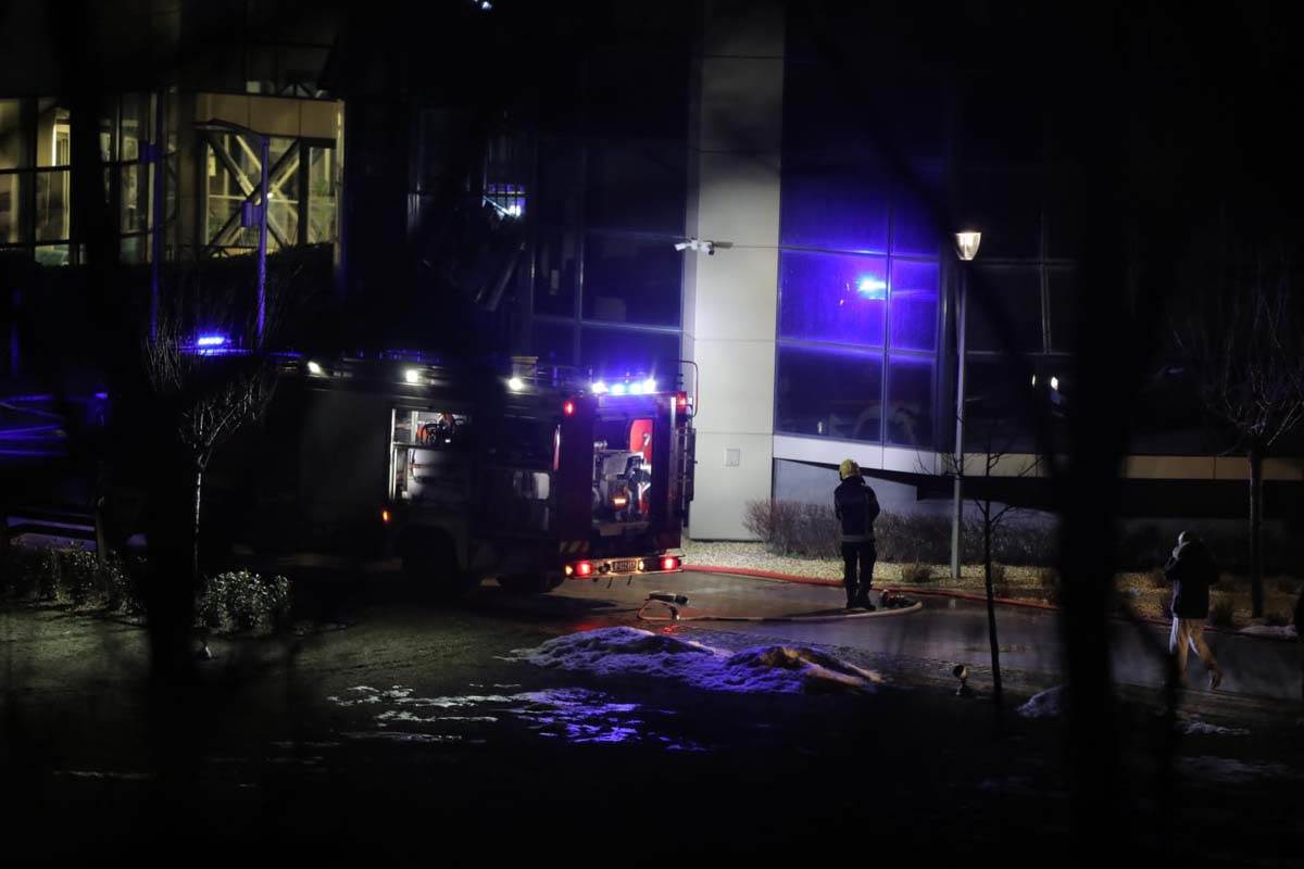 Požar, Zvezdara (1).jpg