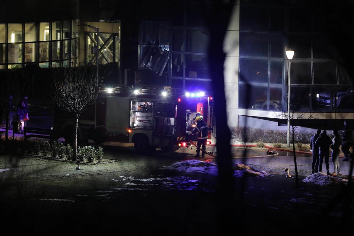 Požar, Zvezdara (4).jpg