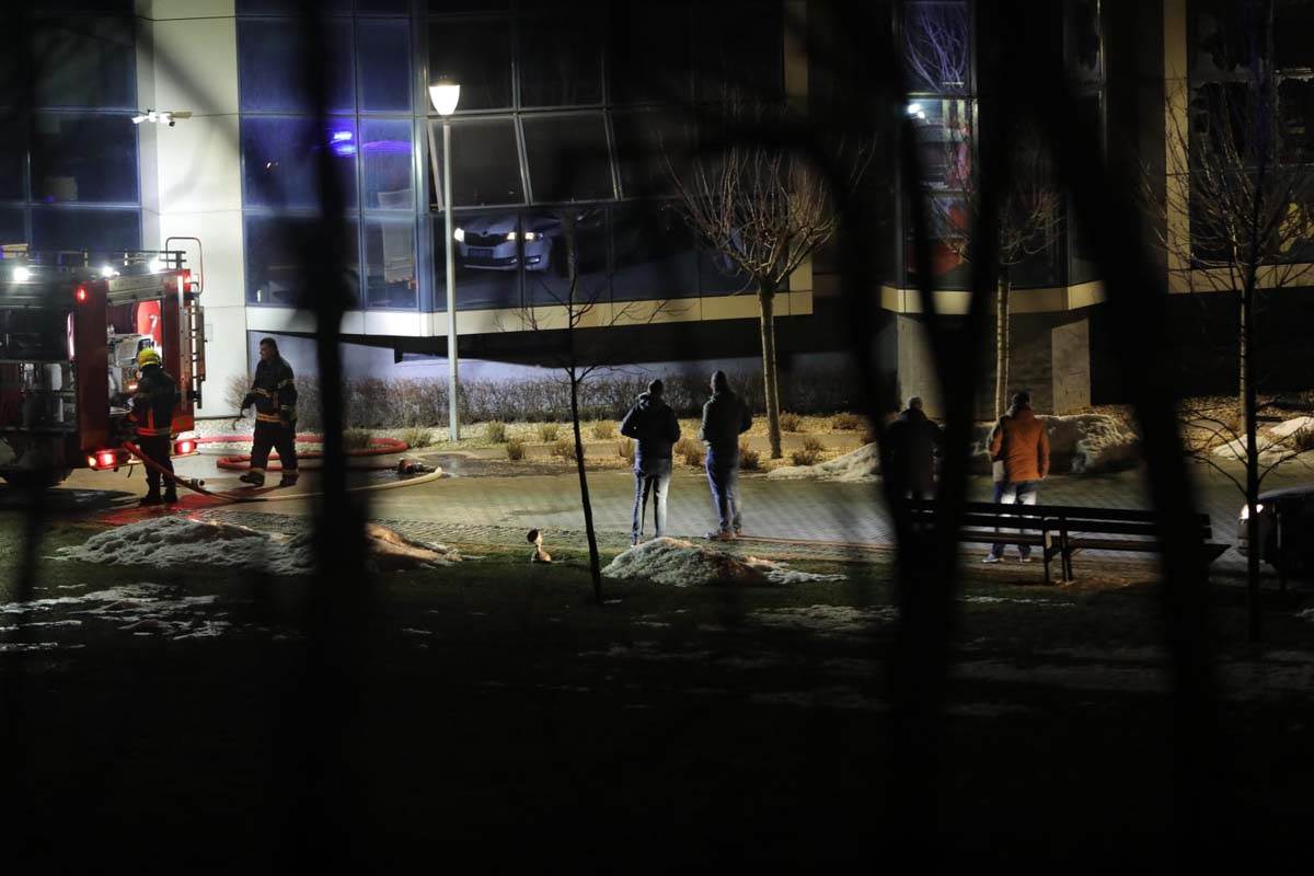 Požar, Zvezdara (5).jpg