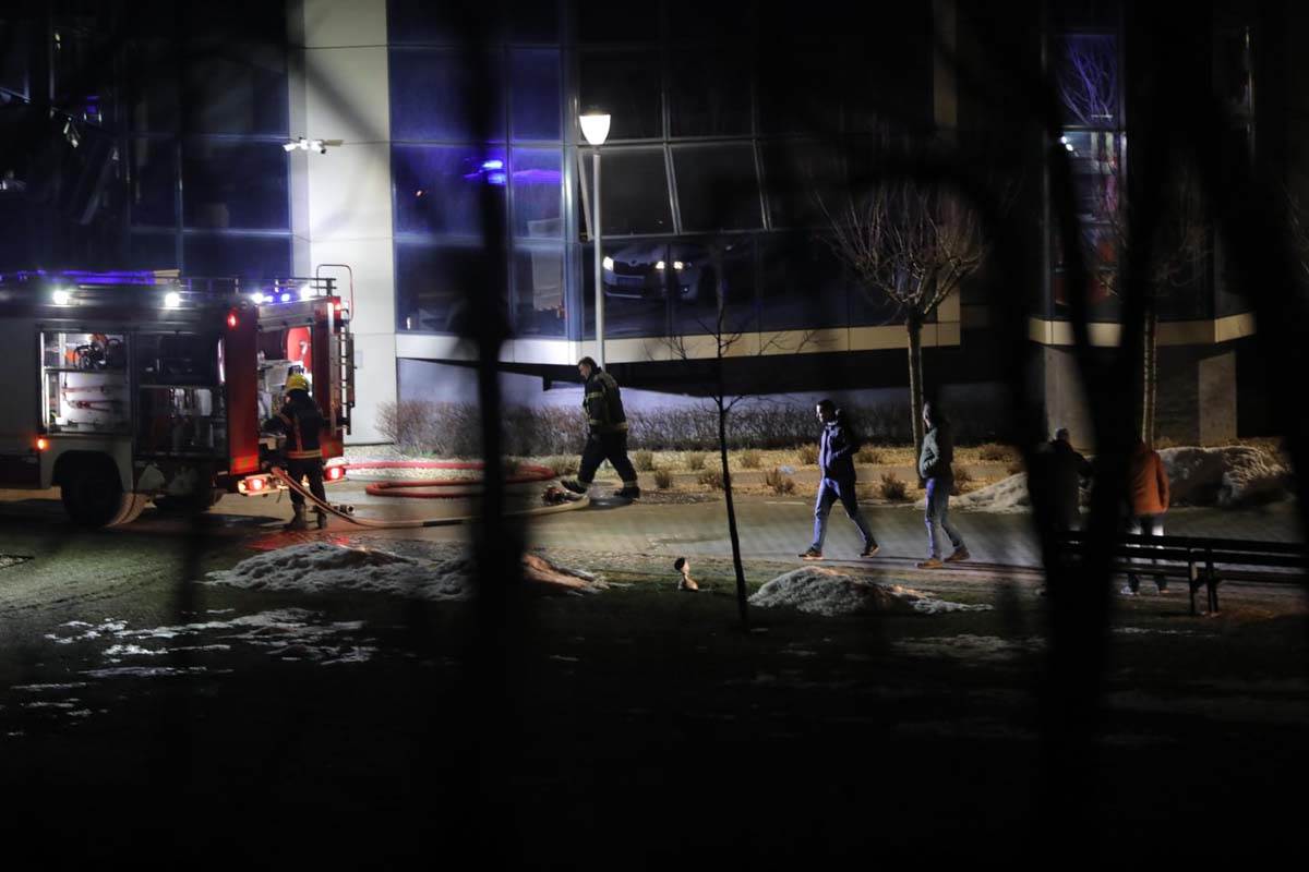 Požar, Zvezdara (7).jpg