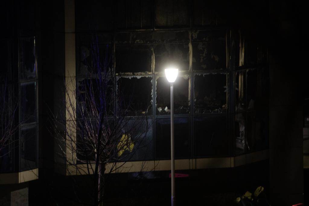 Požar, zvezdara (4).jpeg