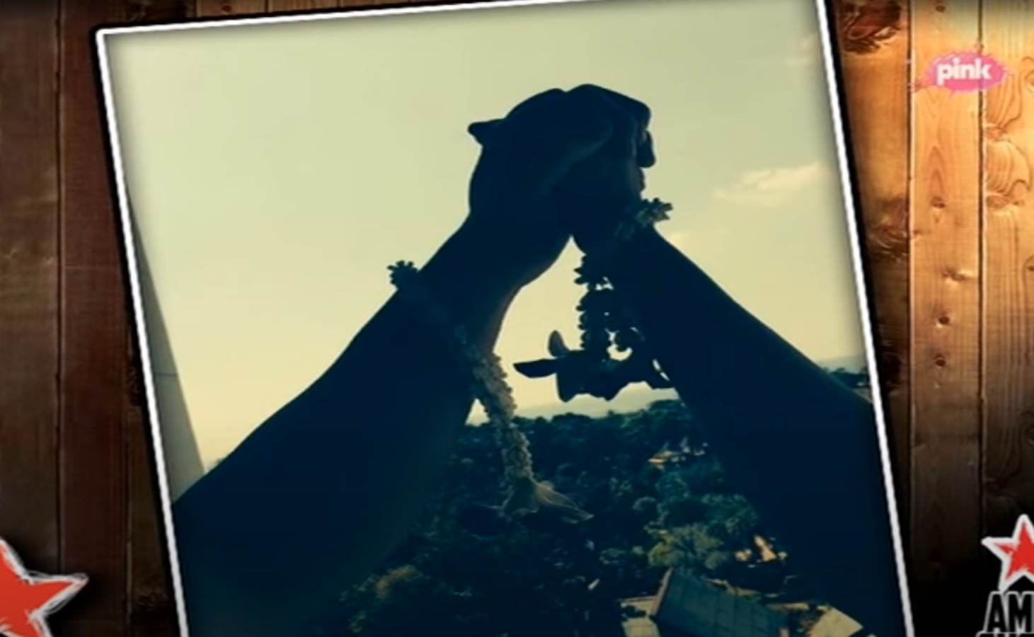 Nataša Bekvalac, Ljuba Jovanović