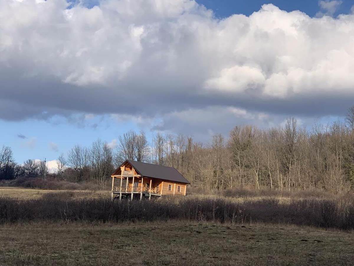 Jelena Golubović, kuća, planina (5).jpg