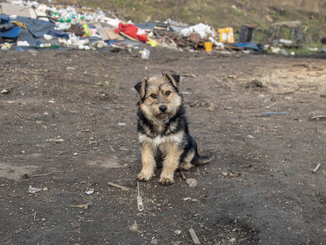 Beskućnici iz Beograda spavaju u kanalizaciji