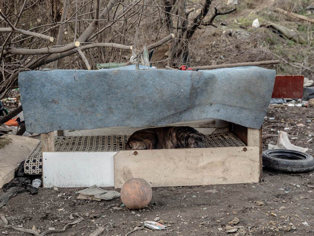 Beskućnici iz Beograda spavaju u kanalizaciji