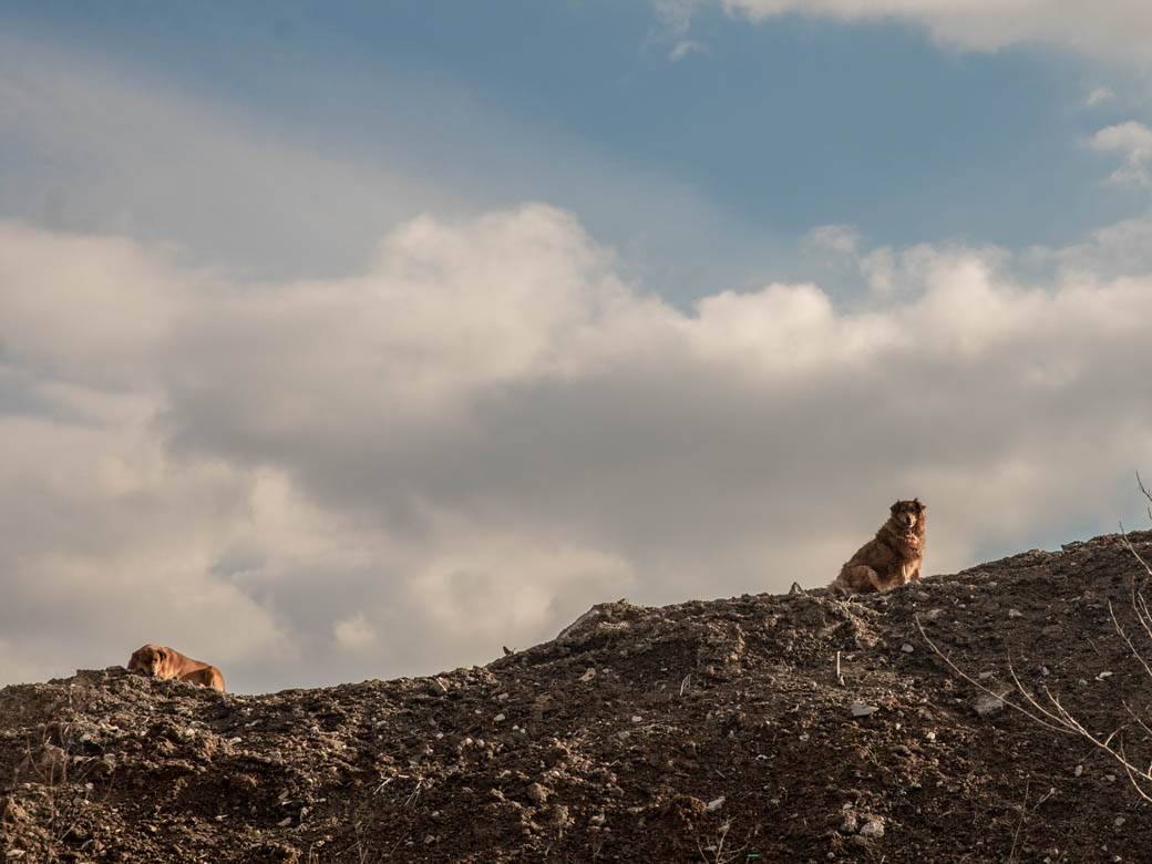 Beskućnici iz Beograda spavaju u kanalizaciji