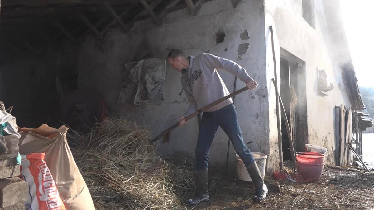 Gornji Milanovac izdržava desetoro dece (4).jpg