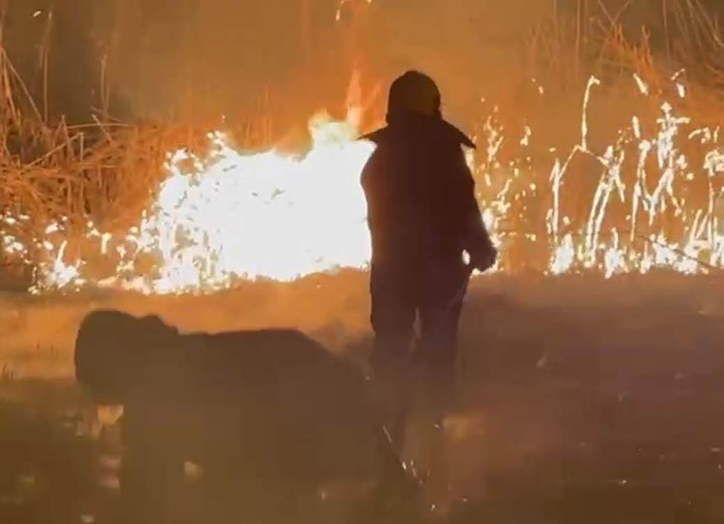 Gašenje požara u Futogu