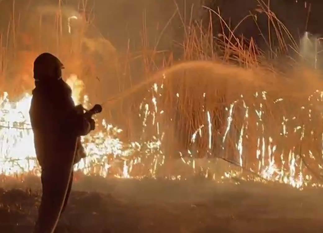 Gašenje požara u Futogu