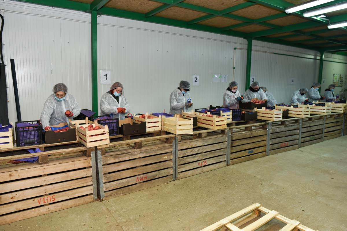 Subotica, promo (3).jpg