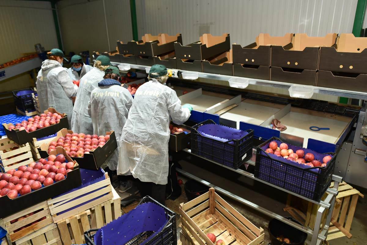 Subotica, promo (4).jpg