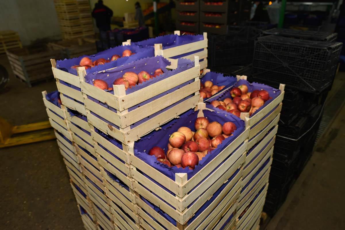 Subotica, promo (5).jpg