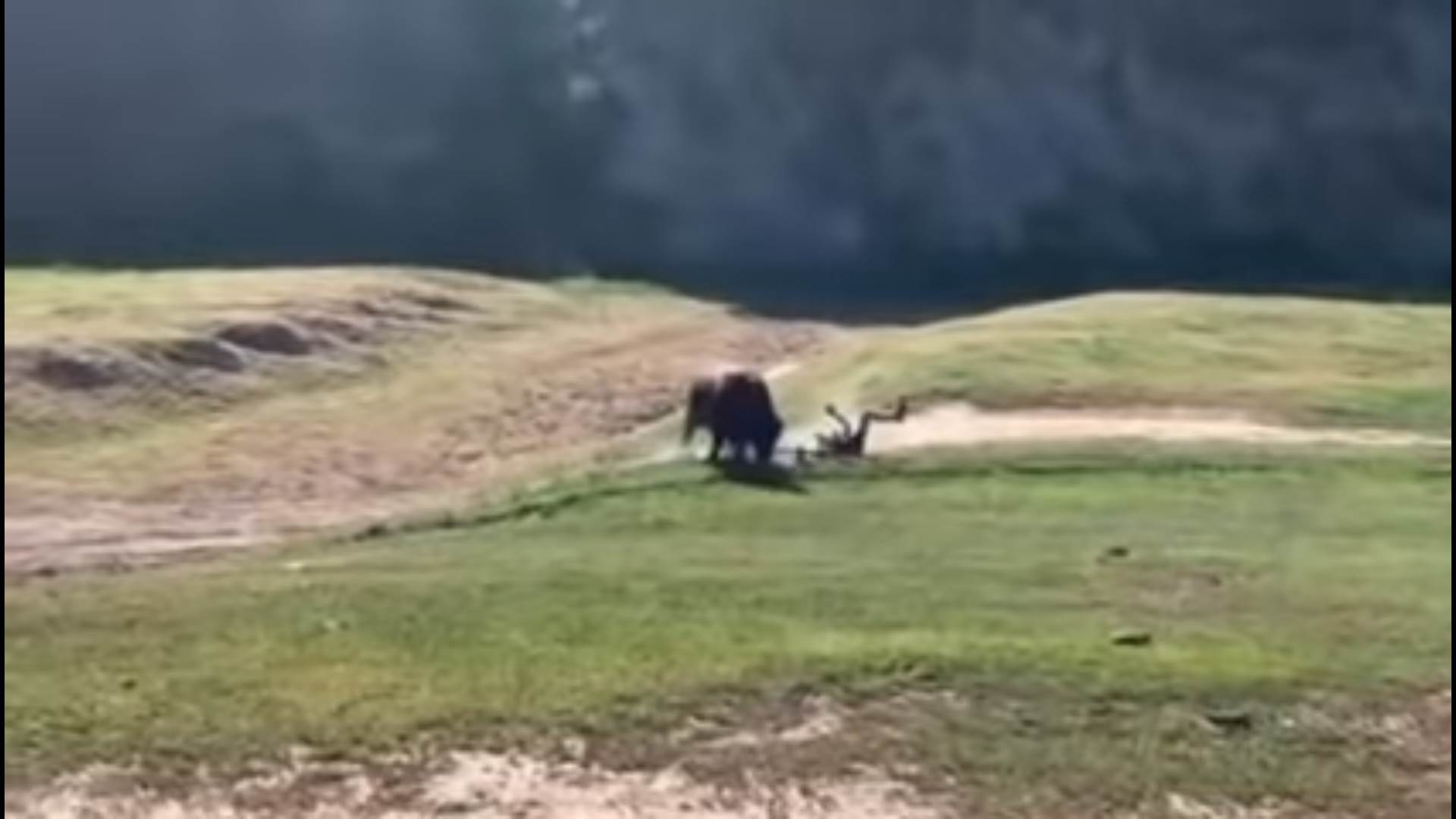 Screenshot from 2022-02-17 10-48-24.png