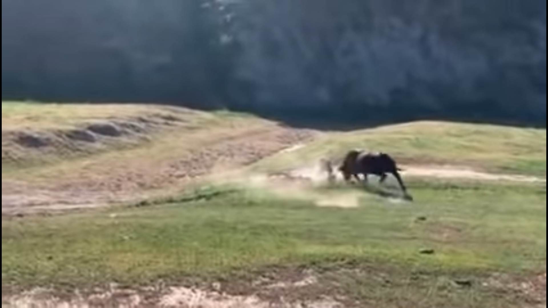 Screenshot from 2022-02-17 10-48-27.png