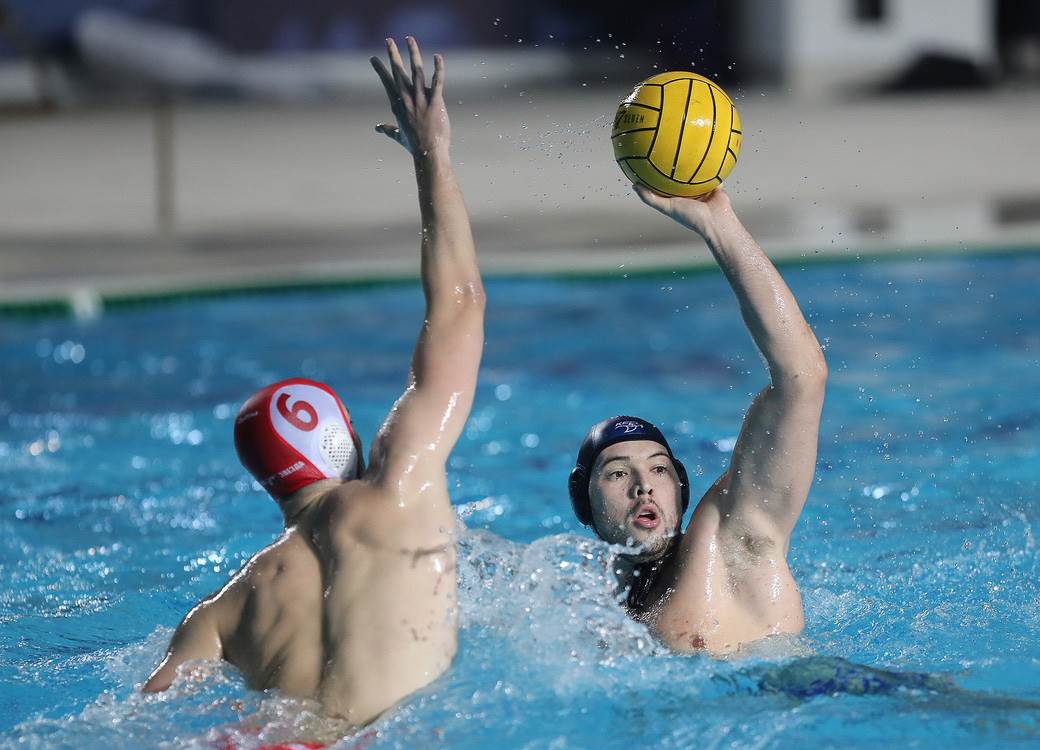 crvena zvezda novi beograd-2.jpg